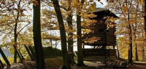 a wooden tree house in the middle of trees at Gästezimmer La Siesta in Ötisheim