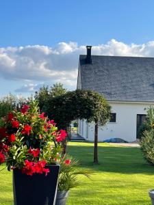 a white house with red flowers in a yard at Gîte du blé normand in Corny