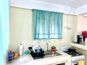 eine Küche mit einer Spüle und einem Herd Top-Backofen in der Unterkunft Happy-Nest (First floor) in Marigot