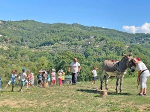 a group of children standing around a donkey in a field at Agricola Baldo e Riccia - Fattoria e Agriturismo in Perugia