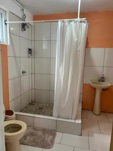 a bathroom with a shower and a toilet at Happy-Nest (First floor) in Marigot