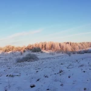 冬天的Jurtowe Wzgórze Glamping