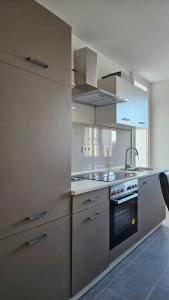 a kitchen with a sink and a stove at City Apartment Kehl in Kehl am Rhein