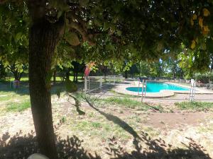 una piscina in un parco con un albero di Hotel Sol de Alicante a Los Ángeles