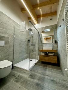 a bathroom with a shower and a toilet and a sink at Apartamentos centro I.II in El Barraco