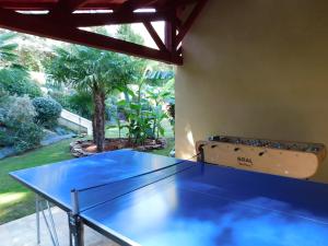 サルラ・ラ・カネダにあるmallegale hauteの- 青い卓球台