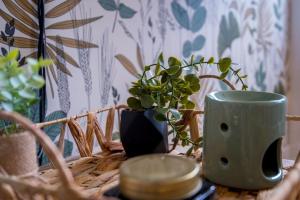 Fotografie z fotogalerie ubytování Le botanica v destinaci Angers