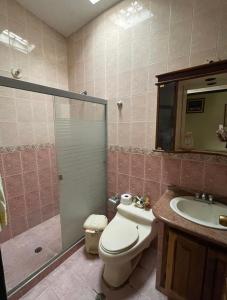 W łazience znajduje się prysznic, toaleta i umywalka. w obiekcie Casa en San Cristóbal, urb los naranjos w mieście San Cristóbal