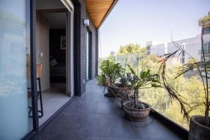 NEW Cute Napoles Condo Private Terrace Smart TV في مدينة ميكسيكو: شرفة مع نباتات الفخار على المبنى