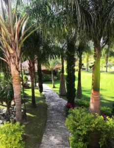 Gallery image of Hacienda Santa Ireme in Zapotlanejo +53 photos