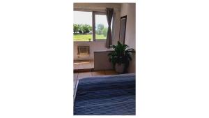 a room with a potted plant and a window at Hostel Lobo Inn - Buzios in Búzios