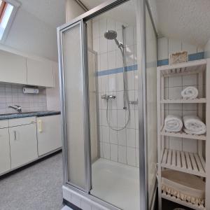 a shower with a glass door in a bathroom at peaceful tiny house near forest in Rorschacherberg