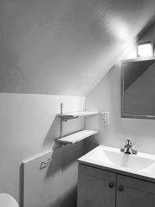 a bathroom with a sink and a mirror at Van Buren Gem 2.0 in Newark