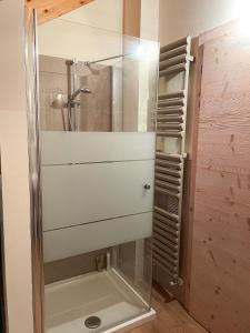 a shower with a glass door in a bathroom at Appartamento Moderno ed Esclusivo - Casa Pierina in Lastebasse