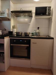 uma cozinha com um fogão, um lavatório e um micro-ondas em Ferienwohnung in Bühler em Bühler