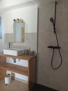a bathroom with a shower with a sink and a mirror at Campagne et Mer in Perpignan