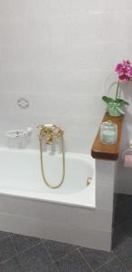 Gallery image of Casa vacanze Lulù in Camaiore +22 photos