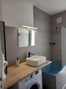 a bathroom with a sink and a washing machine at Appartement plein centre de Valence d'Agen in Valence-dʼAgen