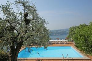 une piscine avec un arbre en face de celle-ci dans l'établissement Casale Massina APPARTAMENTO PERLA, à Salò