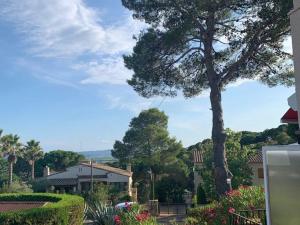 Ein Baum in einem Hof mit einem Haus in der Unterkunft Casa bien cuidada con piscina comunitaria, terrazas y cerca de la playa en L'Estartit - ES-323-42 in L'Estartit