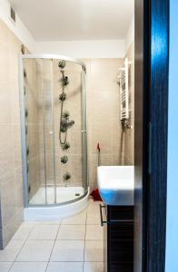 a bathroom with a shower and a sink at Villa Pasja in Świnoujście