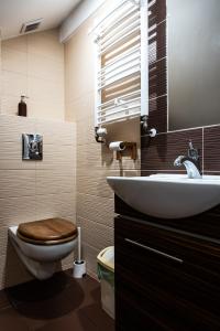 a bathroom with a toilet and a sink and a toilet at Villa Pasja in Świnoujście