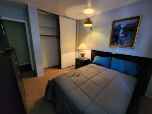 Buckboard House في ريو رانشو: غرفة نوم بسرير في غرفة بها مصباح