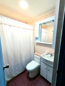 La salle de bains est pourvue de toilettes, d'un lavabo et d'un miroir. dans l'établissement Hermosa Casita de Campo en Pirque, à Pirque
