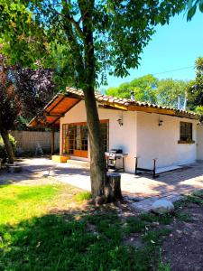 une maison avec un arbre en face dans l'établissement Hermosa Casita de Campo en Pirque, à Pirque