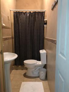ein Bad mit einem WC und einem Waschbecken in der Unterkunft Hotel Brunette in Santa Ana