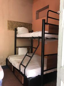 kilka łóżek piętrowych w pokoju w obiekcie Hotel Brunette w mieście Santa Ana