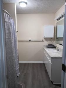 a bathroom with a shower and a sink and a mirror at A Touch of Sunshine Ideal For Long Term Stays in Fayetteville