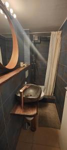 a bathroom with a sink and a mirror at Gästehaus Spring in Aarau