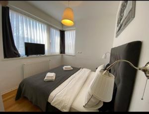 um quarto com uma cama com um candeeiro e uma janela em Best West Sveta Nedelja em Sveta Nedjelja