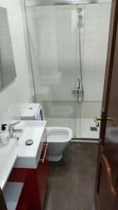 y baño con ducha, aseo y lavamanos. en Apartamento Rio Sar garaje incluido, en Santiago de Compostela