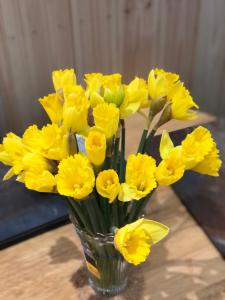 eine Vase voller gelber Blumen auf einem Tisch in der Unterkunft Ty Cwtch in Dolgellau