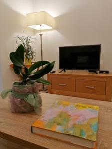 TV a/nebo společenská místnost v ubytování Green Park Apartments