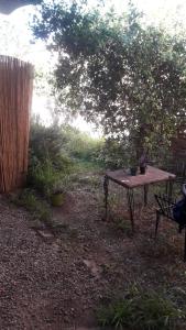 - une table de pique-nique dans une cour à côté d'un arbre dans l'établissement Don Zoilo Alojamientos, à Belén