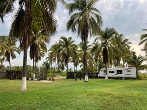 una caravana estacionada en un campo con palmeras en Casa Nectar, en Temalhuacán