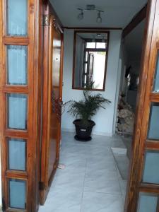 a hallway with a door and a potted plant at casa vacacional cabañas altamar san andres islas in San Andrés