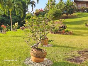Giardino di appartement entier en Martinique Le Khan