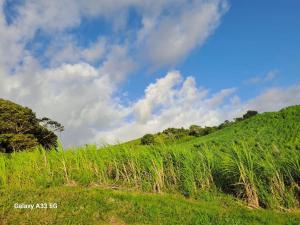 Paesaggio naturale nelle vicinanze dell'appartamento