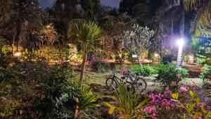 龍目島的住宿－阿南達住宿加早餐旅館，一群自行车在晚上停在花园里