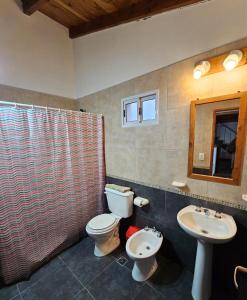 La salle de bains est pourvue de toilettes et d'un lavabo. dans l'établissement Punto Sur Cabañas, à El Bolsón