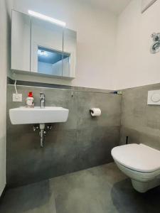 een badkamer met een toilet, een wastafel en een spiegel bij Highlight! Stilvolle 100m2 mit Büro Nähe München in Mühldorf