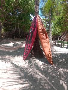 two kayaks hanging from a palm tree on a beach at Cabana juriti in Camaçari