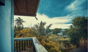 Příroda nedaleko vily + 6 fotografií