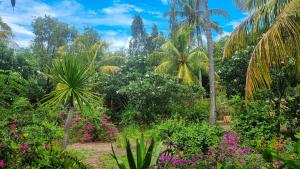 a garden with pink flowers and palm trees at Ananda B&B in Gili Air
