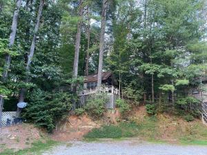 a house on top of a hill with trees at Cascades Inn - Cabin #2 - Full Kitchen in Tiger