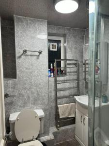 a bathroom with a toilet and a sink and a shower at 3 Bedroom Entire Flat, Primrose Hill in London